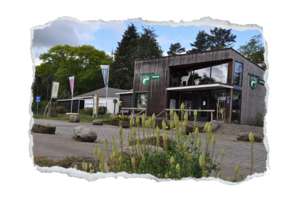 Natuurmuseum Holtenberg