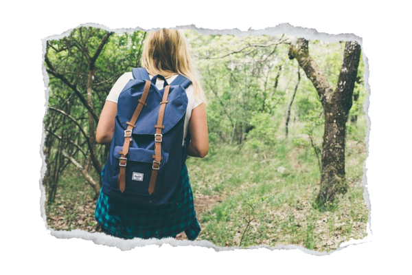 Wandelen in omgeving FGvakantiehuisjes